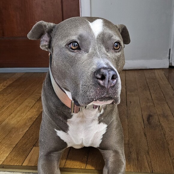 respinalperez